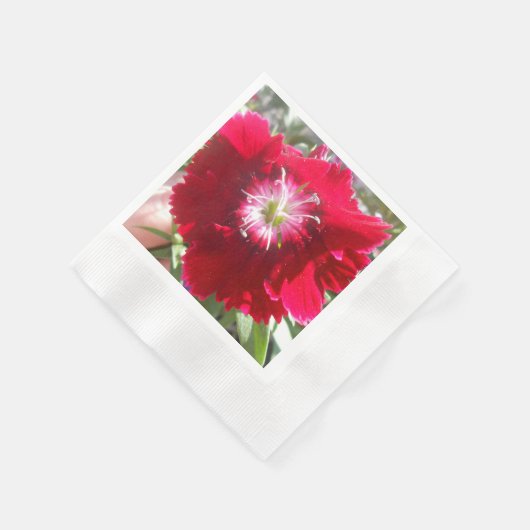 Serviette En Papier Geertje (Coin)