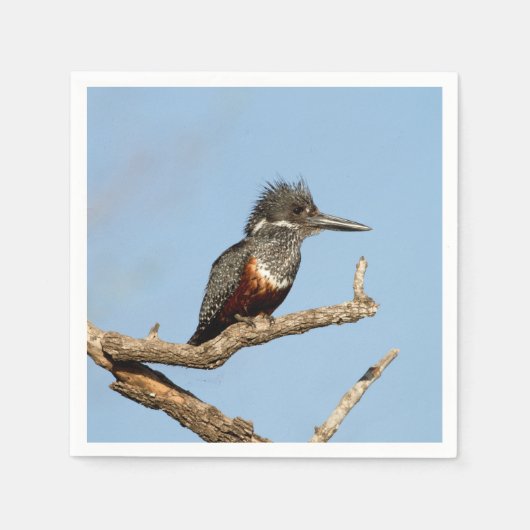 Serviette En Papier Giant Kingfisher (Devant)
