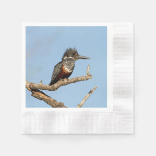 Serviette En Papier Giant Kingfisher