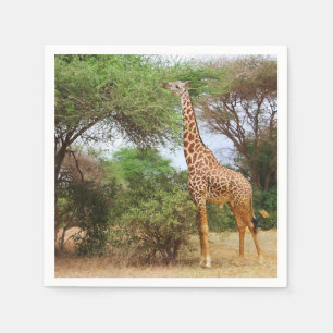 Serviette En Papier Giraffe Masaï