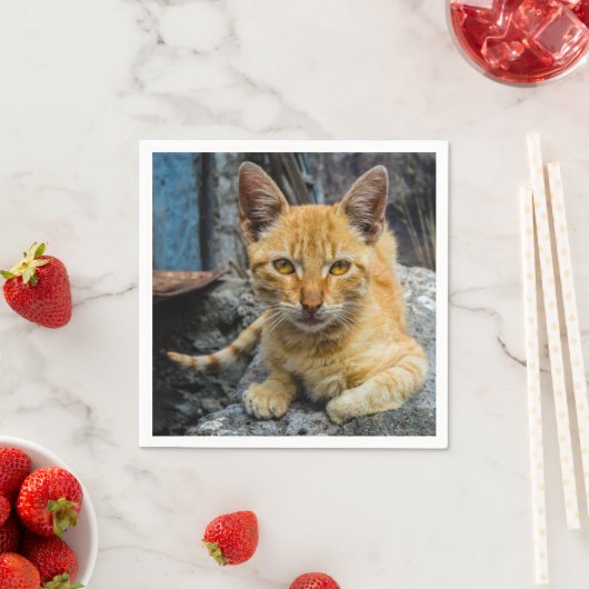Serviette En Papier Golden Eyes (En situation)