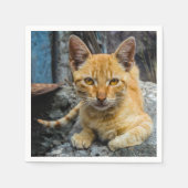 Serviette En Papier Golden Eyes (Devant)