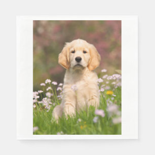Serviette En Papier Golden Retriever chiot un Goldie mignon