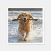 Golden Retriever courant avec un bâton de plage