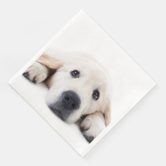 Serviette En Papier Golden retriever cute puppy lying (Coin)