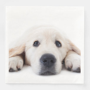Serviette En Papier Golden retriever cute puppy lying