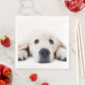 Serviette En Papier Golden retriever cute puppy lying (En situation)