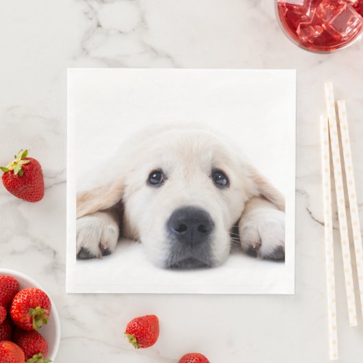 Serviette En Papier Golden retriever cute puppy lying (En situation)
