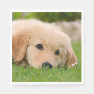 Serviette En Papier Golden Retriever mignon Chiot Dreams Chien Tête Ph