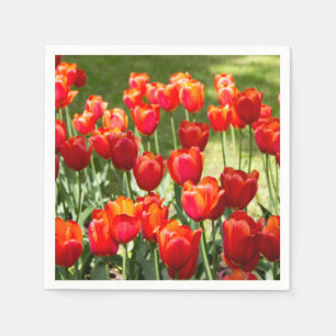 Serviette En Papier Grand champ de tulipes rouges