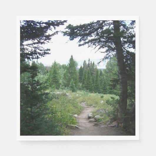 Serviette En Papier Grand Teton Trail (Devant)