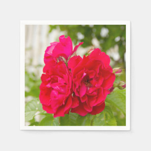 Serviette En Papier Grandes roses rouges dans le jardin