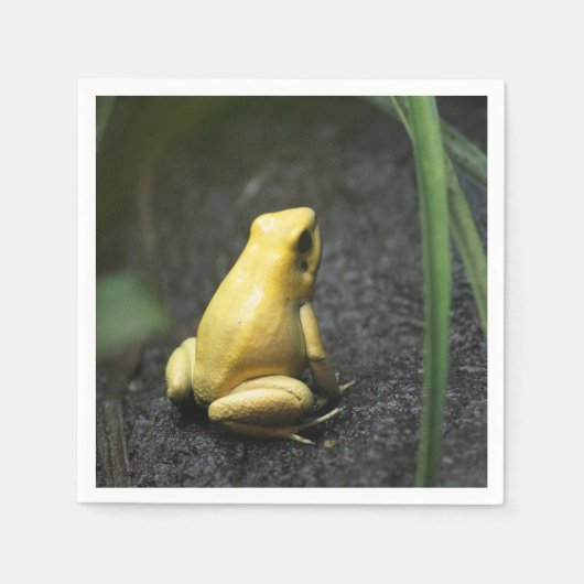 Serviette En Papier Grenouille jaune (Devant)