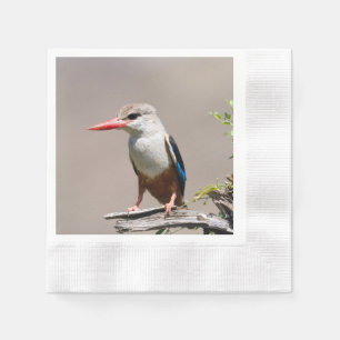 Serviette En Papier Grey-Headed Kingfisher