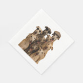 Serviette En Papier Greyhound (Coin)