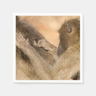 Serviette En Papier Grooming baboons