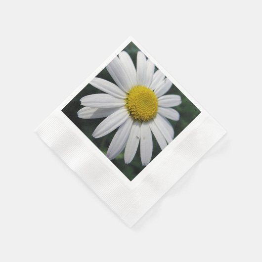 Serviette En Papier Gros Blancs (Coin)