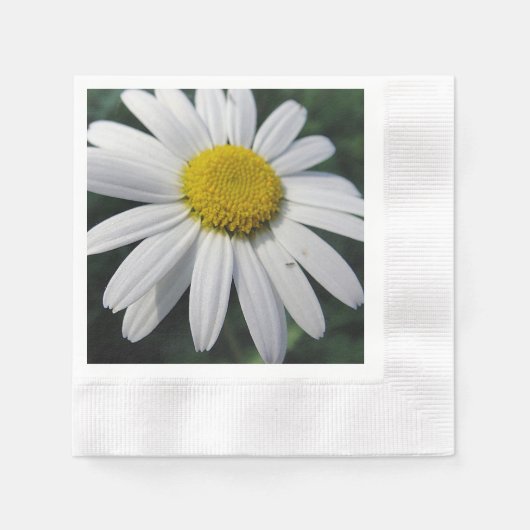 Serviette En Papier Gros Blancs (Devant)