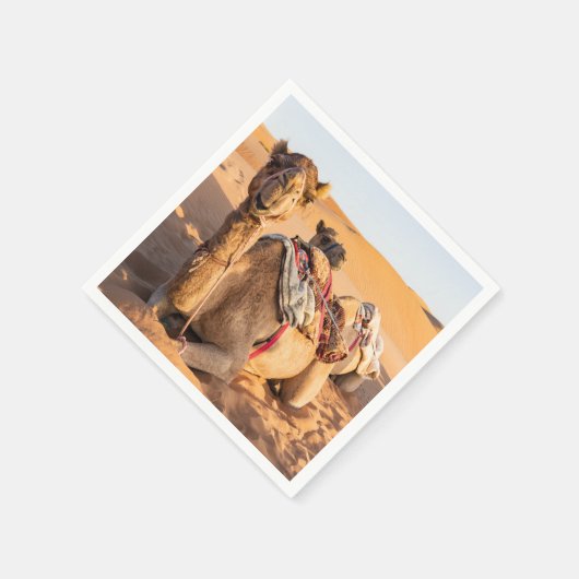 Serviette En Papier Gros plan sur Camel dans le désert d'Oman (Coin)