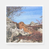 SERVIETTE EN PAPIER HARE (Devant)