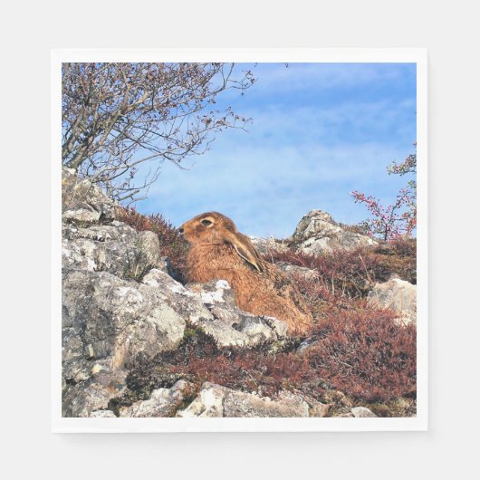 SERVIETTE EN PAPIER HARE (Devant)