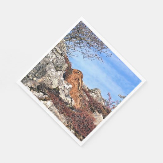 SERVIETTE EN PAPIER HARE (Coin)