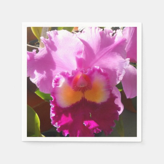 Serviette En Papier Harlinde (Devant)