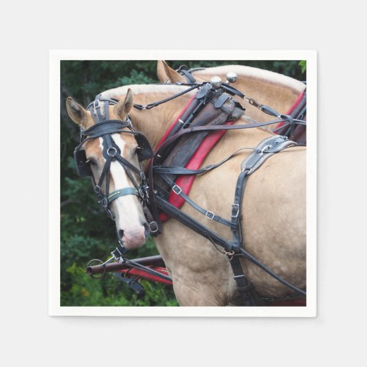Serviette En Papier Harnais Palomino (Devant)