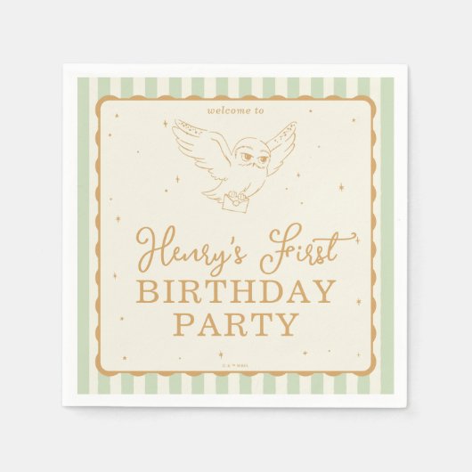 Serviette En Papier Harry Potter Hedwig Green Magical Birthday (Devant)