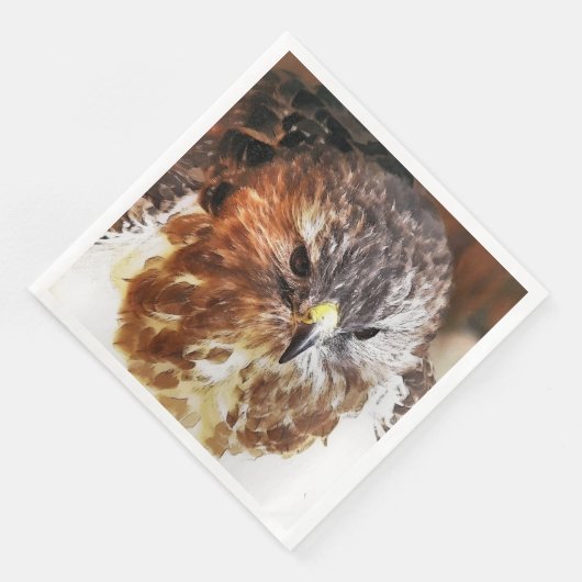 SERVIETTE EN PAPIER HAWK (Coin)