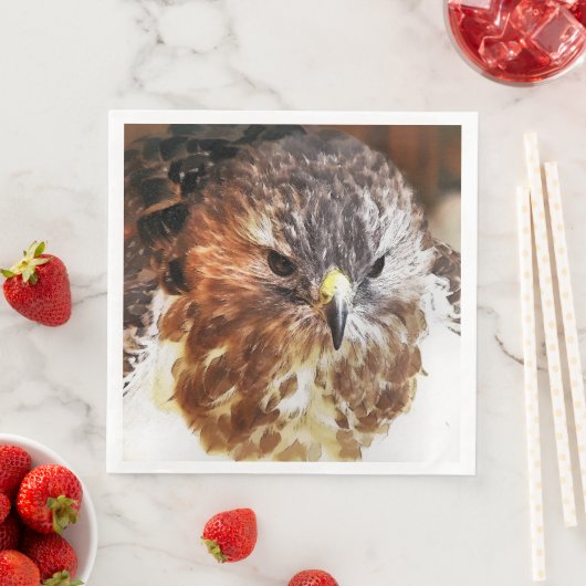 SERVIETTE EN PAPIER HAWK (En situation)