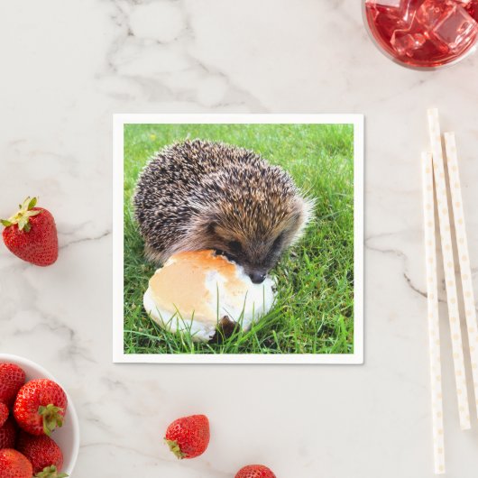 SERVIETTE EN PAPIER HÉDGEHOG (En situation)