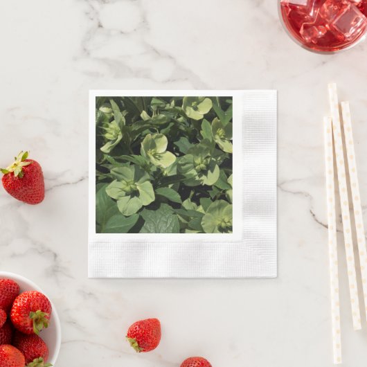 Serviette En Papier Hellebore vert (En situation)