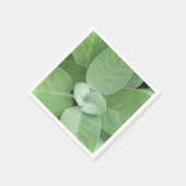 Serviette En Papier Herbal Napkin (Coin)