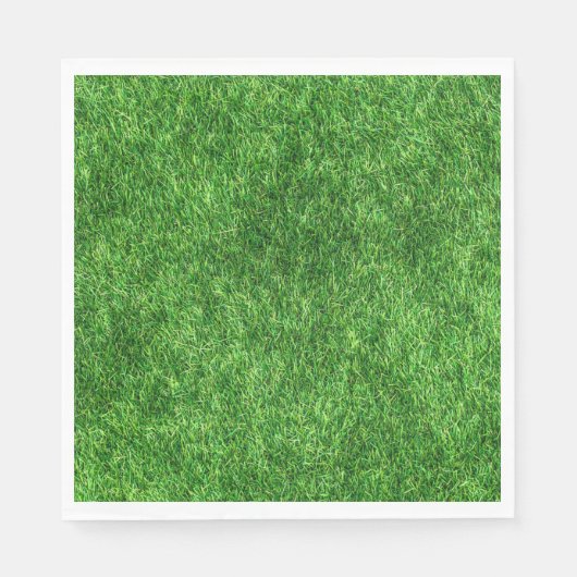 Serviette En Papier Herbe verte (Devant)