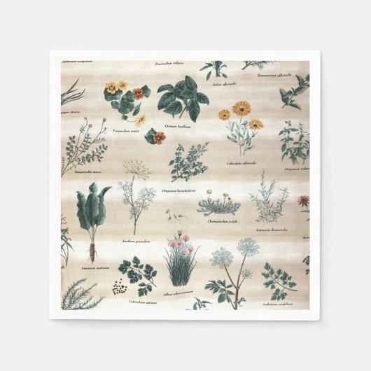 Serviette En Papier Herbes Fleurs Plantes (Devant)