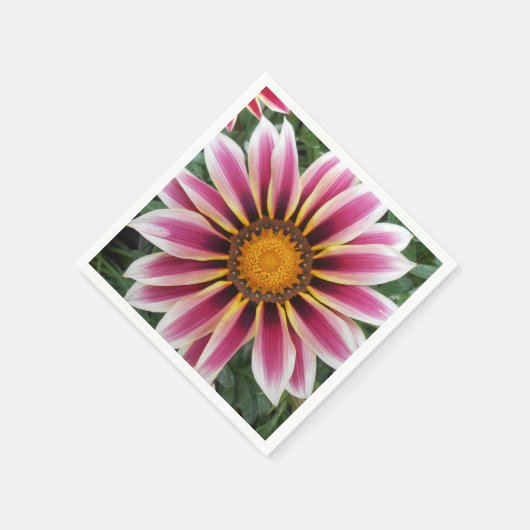 Serviette En Papier Hereford (Coin)