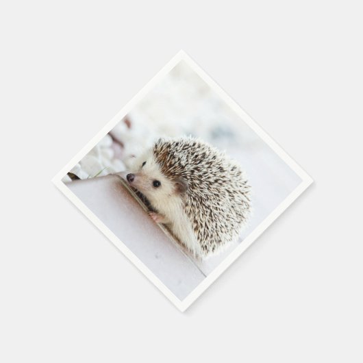 Serviette En Papier Hérisson bébé mignon (Coin)