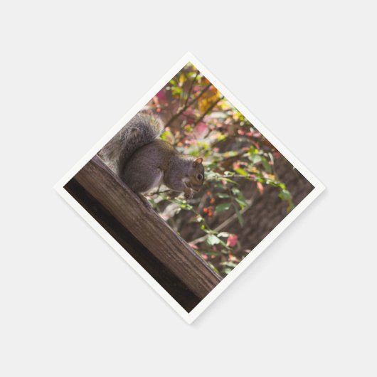 Serviette En Papier Heure des écureuils (Coin)