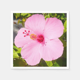 Serviette En Papier Hibiscus rose Fleur tropicale