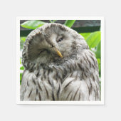 SERVIETTE EN PAPIER HIBOU (Devant)