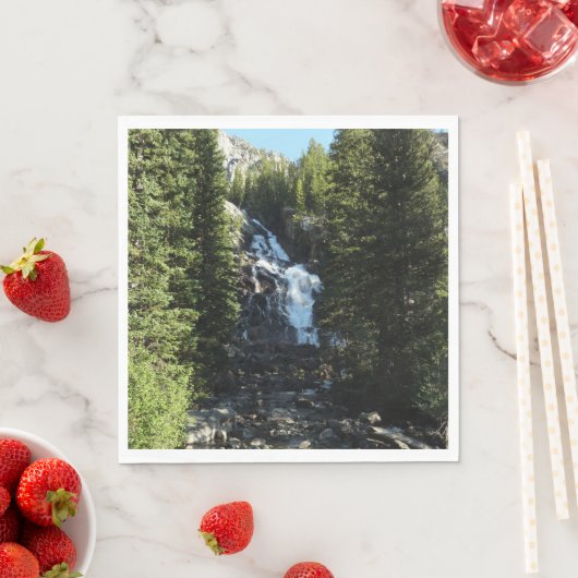 Serviette En Papier Hidden Falls dans le parc national du Grand Teton (En situation)