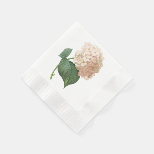 Serviette En Papier hortensia(Hydrangea sp.) par Redouté (Coin)