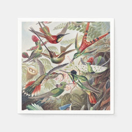 Serviette En Papier Hummingbird Bird Wildlife Classic Painting (Devant)