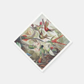 Serviette En Papier Hummingbird Bird Wildlife Classic Painting (Coin)