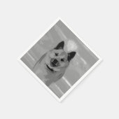 Serviette En Papier IcelandicSheepdog20151203 (Coin)