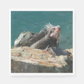 Serviette En Papier Iguana à St Thomas (Devant)
