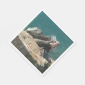 Serviette En Papier Iguana à St Thomas (Coin)