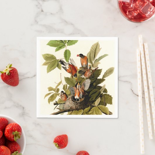 Serviette En Papier Illustration Audubon American Robin Wildlife Bird (En situation)