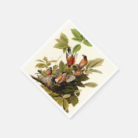 Serviette En Papier Illustration Audubon American Robin Wildlife Bird (Coin)